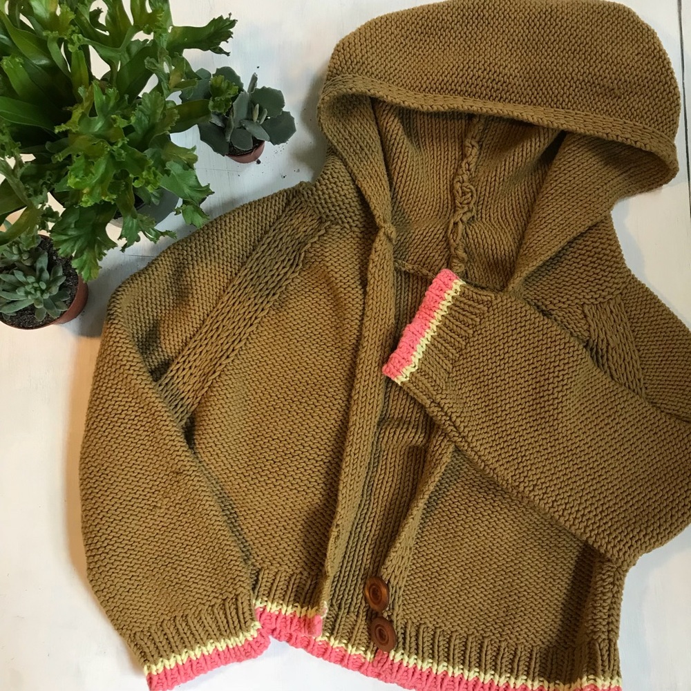 Free People Hooded Cropped Sweater
